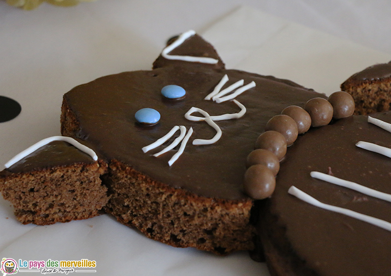 Gâteau d'anniversaire chat