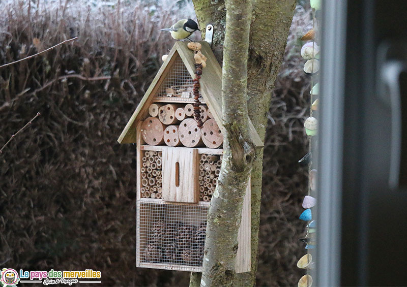 Nourriture pour oiseaux du jardin