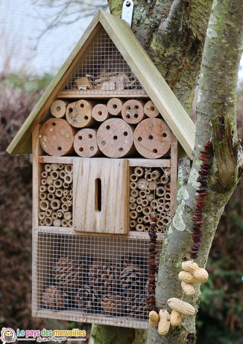 Guirlande de raisins secs et de cacahuètes pour les oiseaux du jardin 