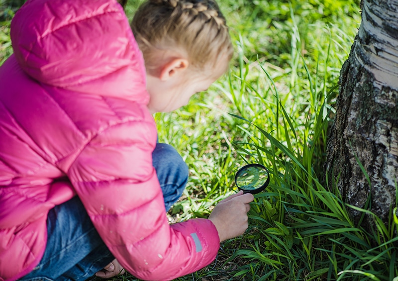 Activité printemps avec enfant