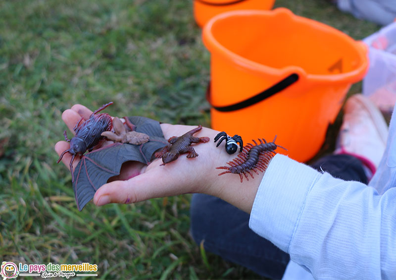 Insectes en plastique