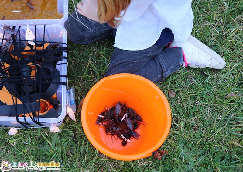 Seau d'Halloween avec des insectes en plastique