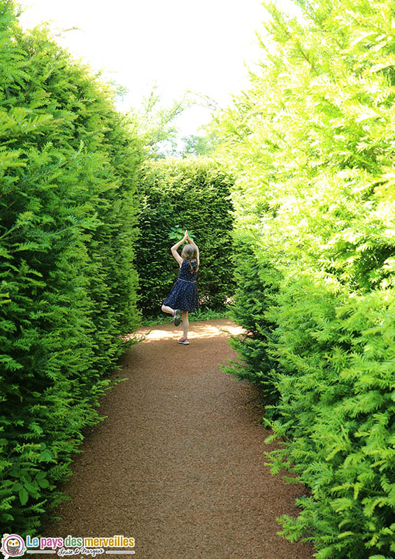 allée du labyrinthe de Thoiry