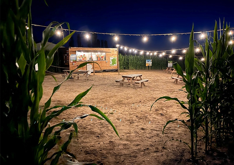 labyrinthe de maïs la nuit