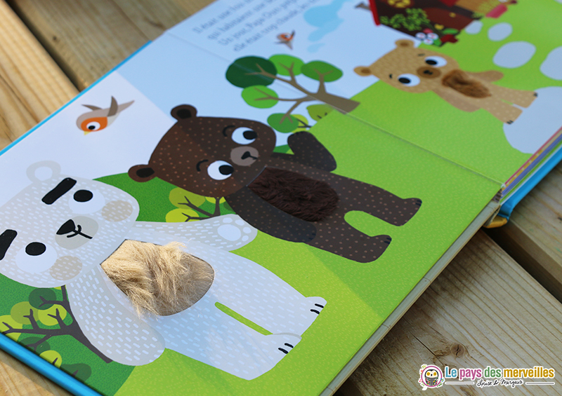 Livres à toucher ours