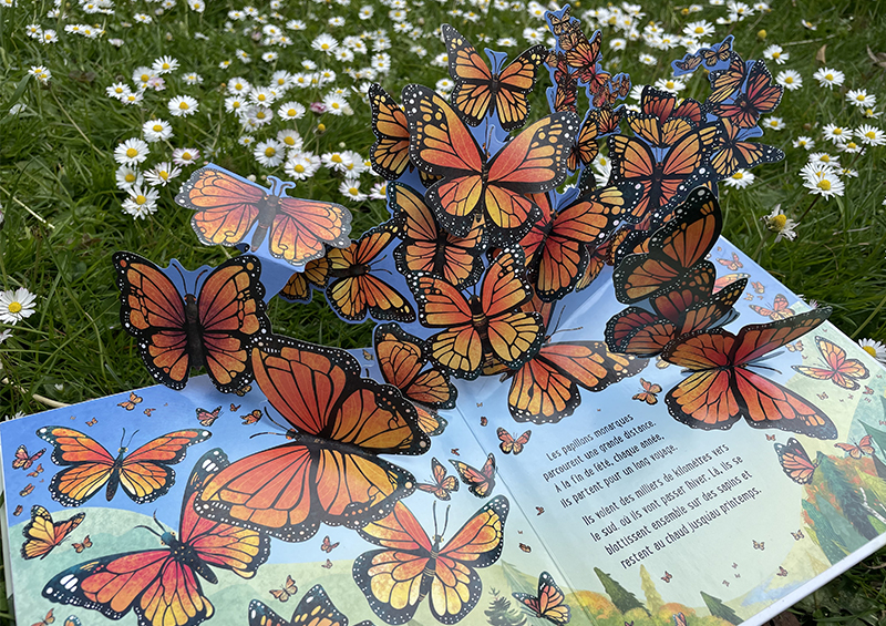 livre animé papillons