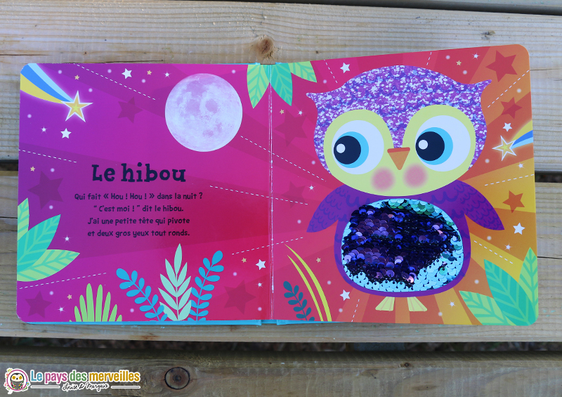 livre avec des sequins