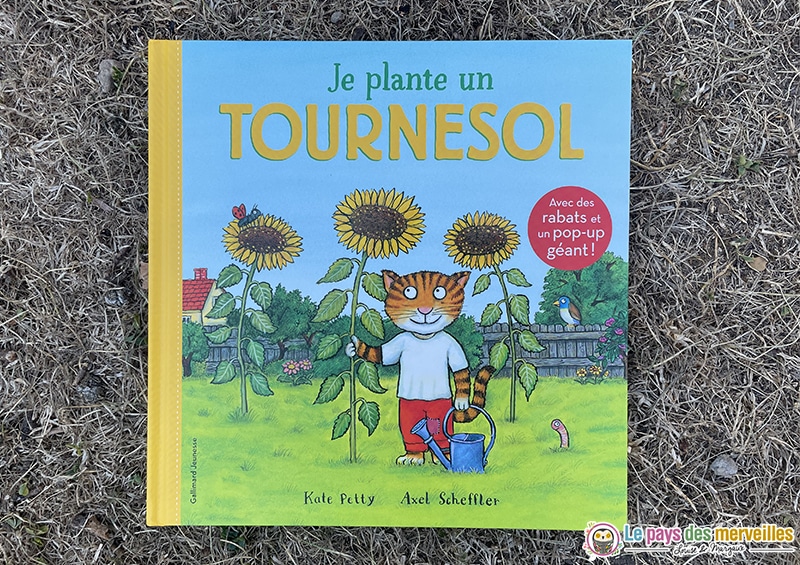 Je plante un tournesol avec des rabats et un pop-up