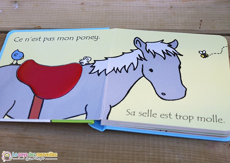 Livre à toucher poney cheval