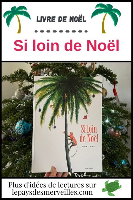 Livre de Noël Si loin de Noël illustré par Dedieu