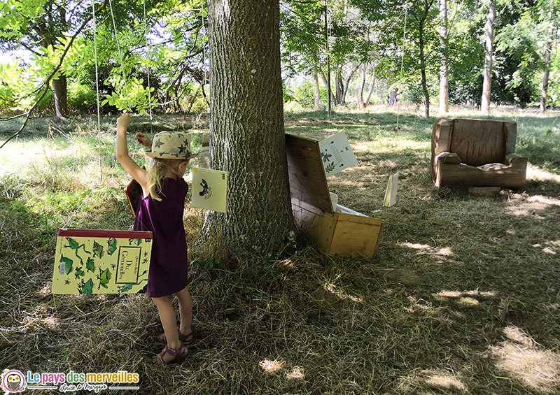 Livres suspendus dans les arbres au domaine d'Harcourt