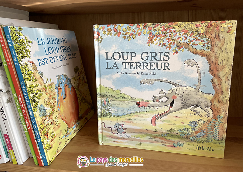 Collection Loup Gris 