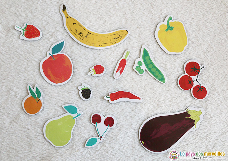 magnets fruits