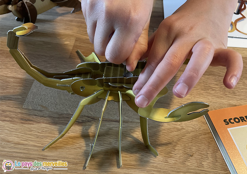 maquette scorpion