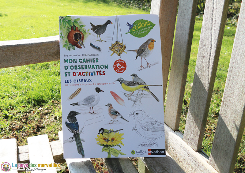 cahier nature oiseaux