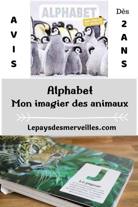 Alphabet, mon imagier des animaux éditions De la martinière jeunesse