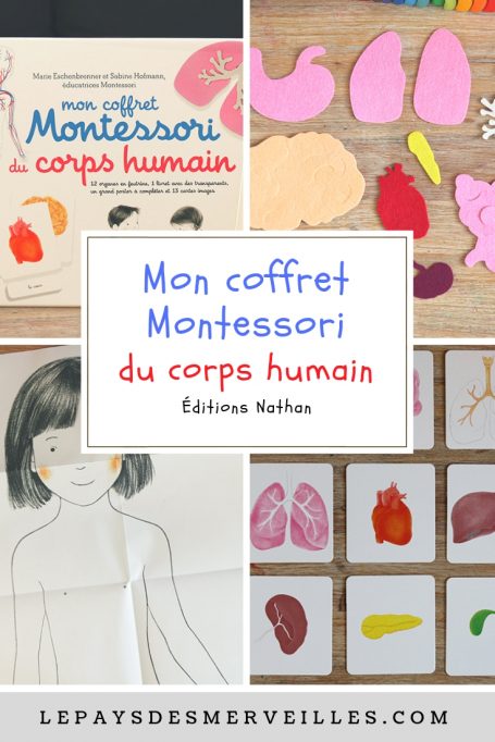 Mon coffret Montessori du corps humain