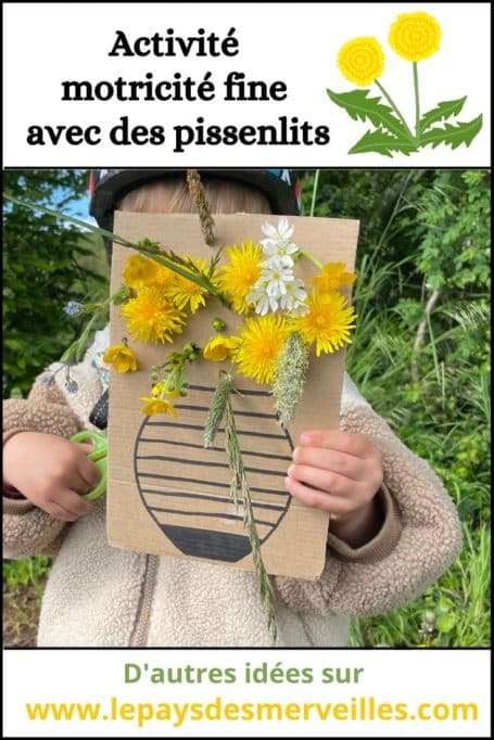 activité de motricité fine avec des pissenlits et du carton