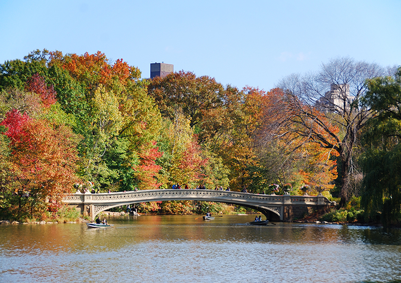 pont Central Park à New York