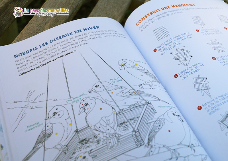 Nourrir les oiseaux et construire une mangeoire
