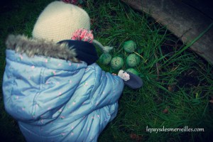 Boule de graisse pour les oiseaux du jardin