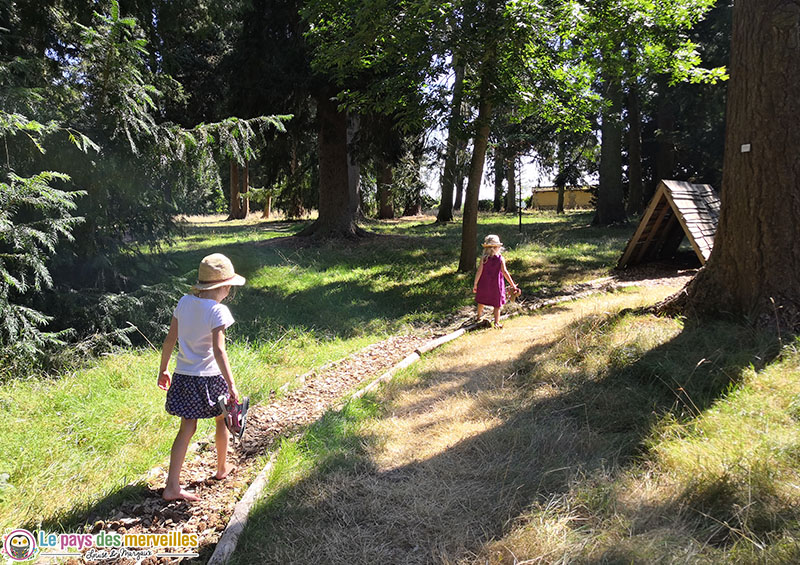 Parcours sensoriel pieds nus à l'arboretum d'harcourt