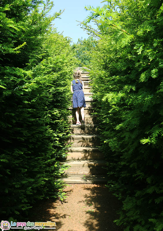 Passerelle du labyrinthe de Thoiry