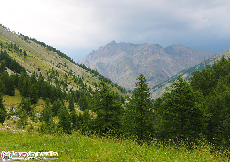 Paysage du col de la Cayolle