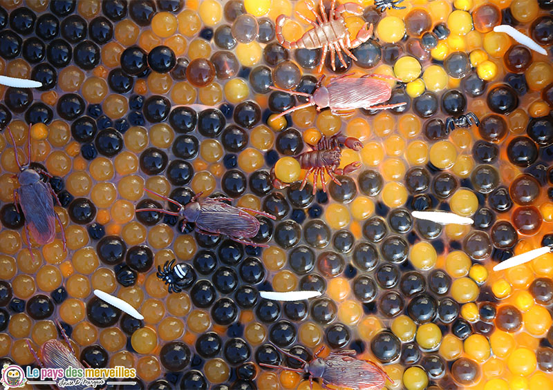 Perles d'eau oranges et noires