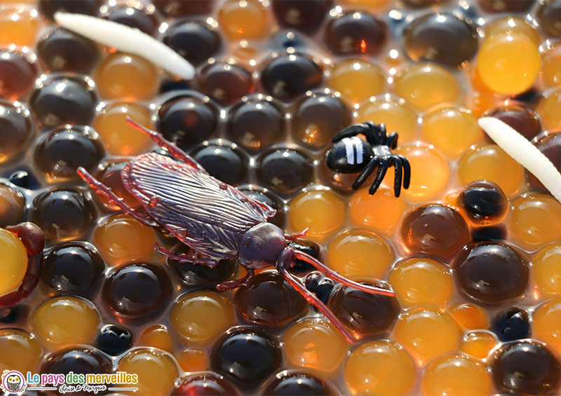 Bac sensoriel avec des perles d'eau et des insectes pour Halloween