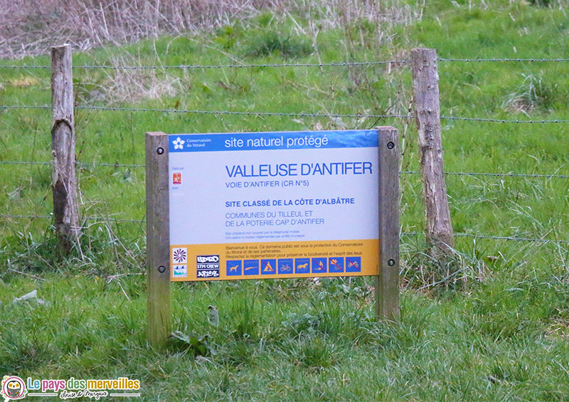 Plage Valleuse d'Antifer au Tilleul