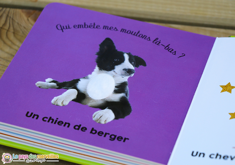 livre à toucher chien