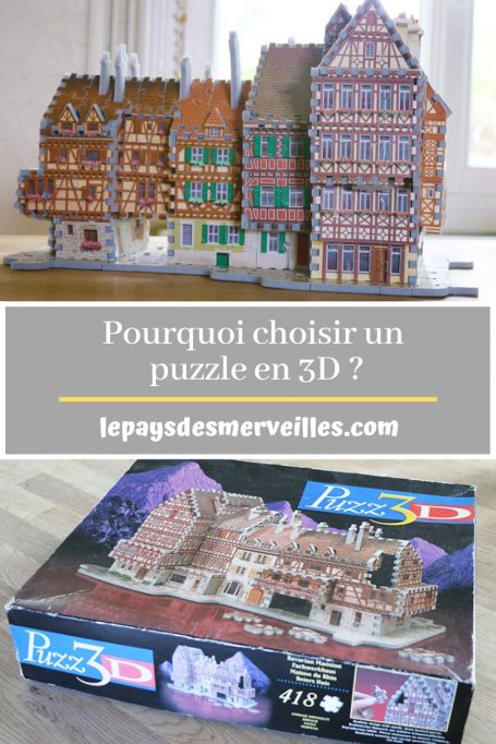 Pourquoi choisir un puzzle 3D