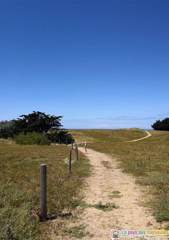 Randonnée entre Dunes et Marais en Vendée