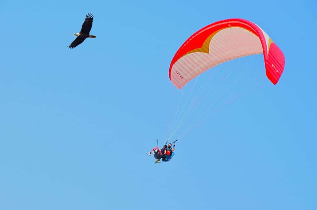 saut en parachute