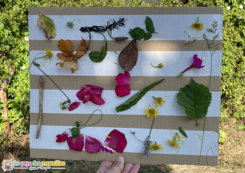 tableau nature en carton avec des fleurs et des feuilles