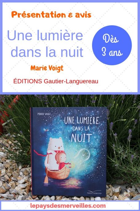  Une lumière dans la nuit - Voigt, Marie, Voigt, Marie - Livres