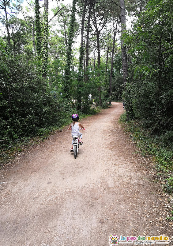 Piste cyclable en Vendée