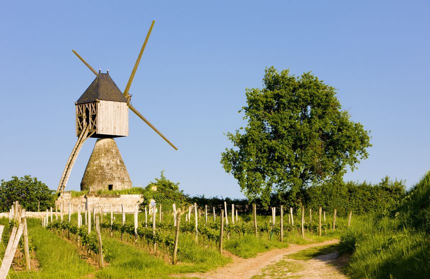 Visite de vignoble dans les pays de la Loire